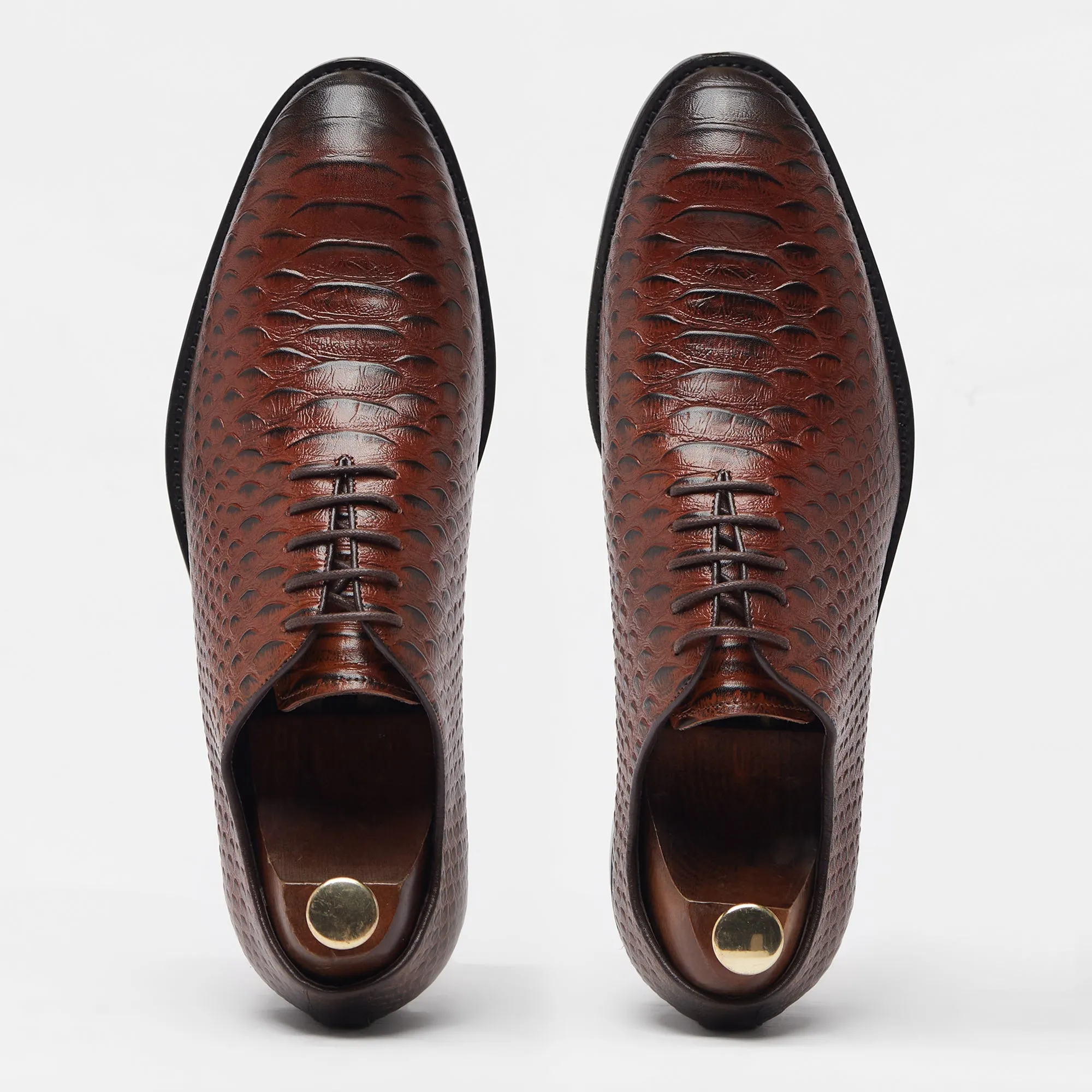 Alligator Oxfords