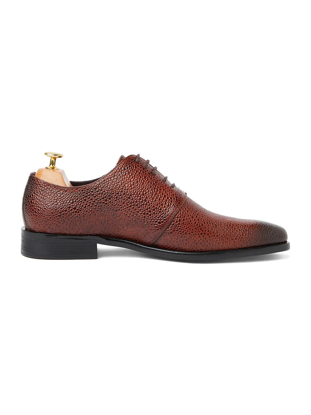 Stingray Leather Oxfords - Brown